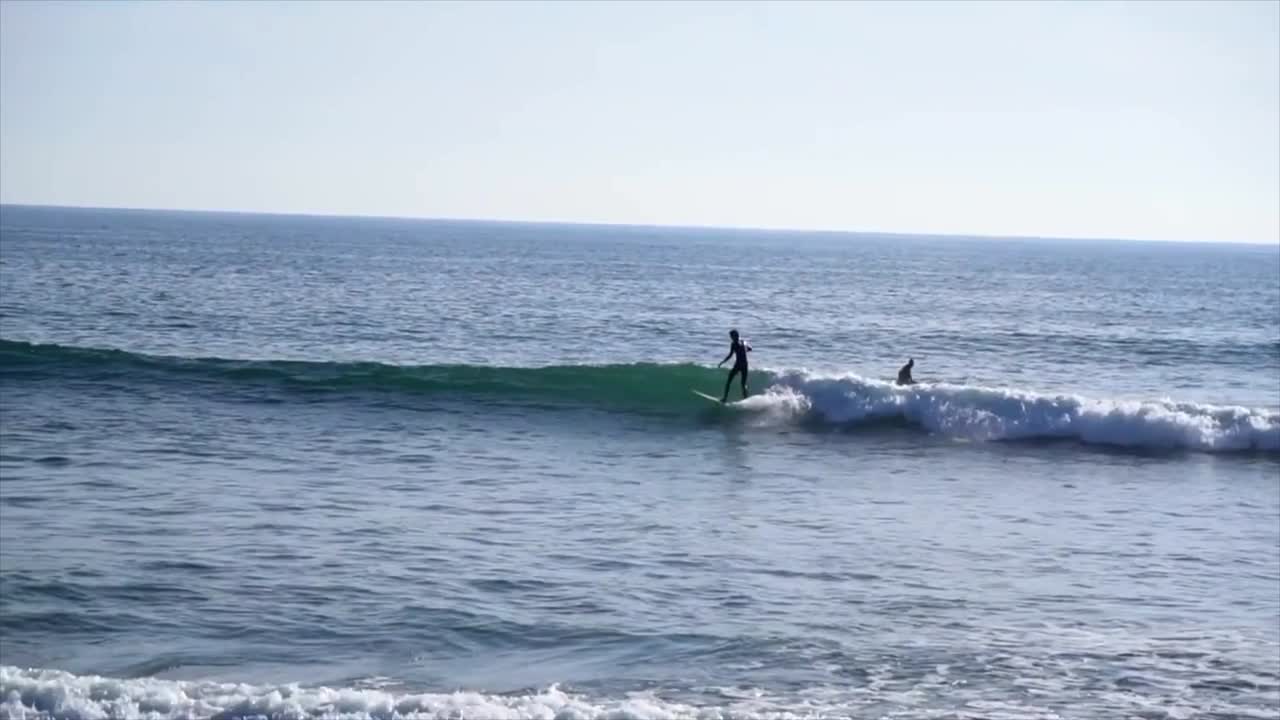 Surfer in Ventura,CA