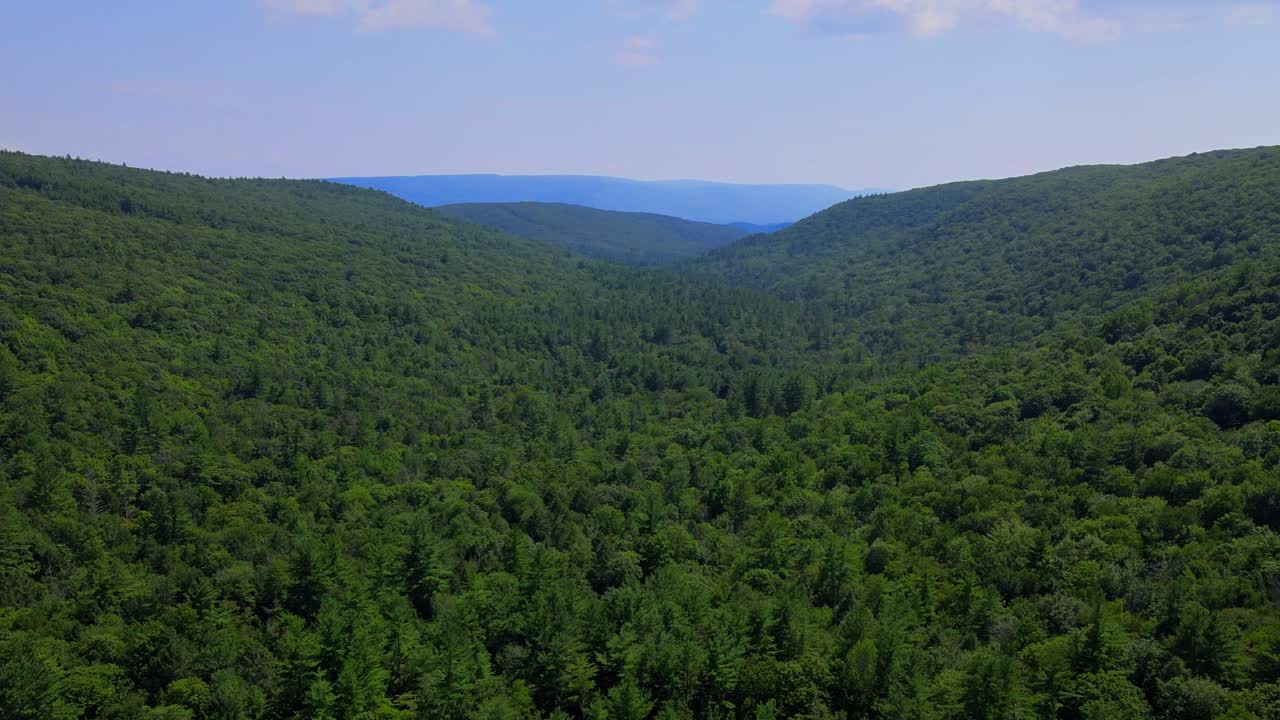 vista aérea del bosque en las montañas catskill, valle de hudson, en las montañas apalaches durante el verano