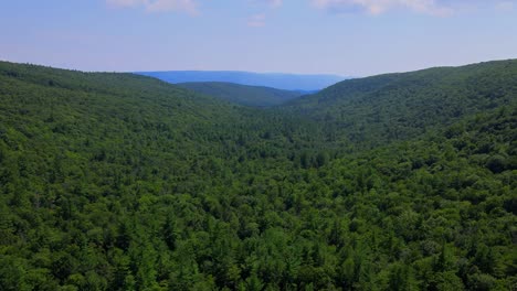 Aerial-view-of-forest-in-the-Catskill-Mountains,-Hudson-Valley,-in-Appalachian-Mountains-during-summer