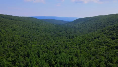 aerial view of forest in the catskill mountains, hudson valley, in appalachian mountains during summer