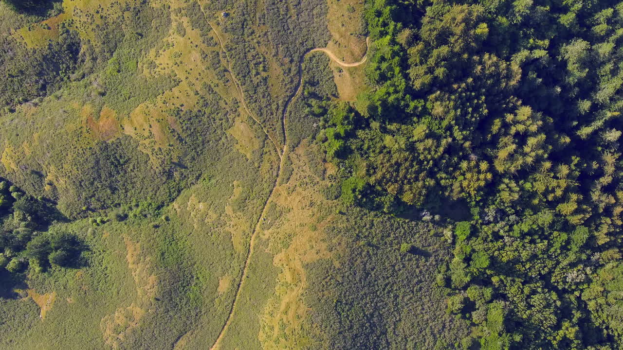 vista aérea de senderos en el estacionamiento nip en mt tamalpais en bolinas, california, estados unidos