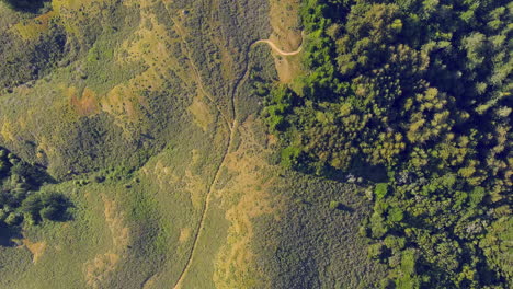 Vista-Aérea-De-Senderos-En-El-Estacionamiento-Nip-En-Mt-Tamalpais-En-Bolinas,-California,-Estados-Unidos