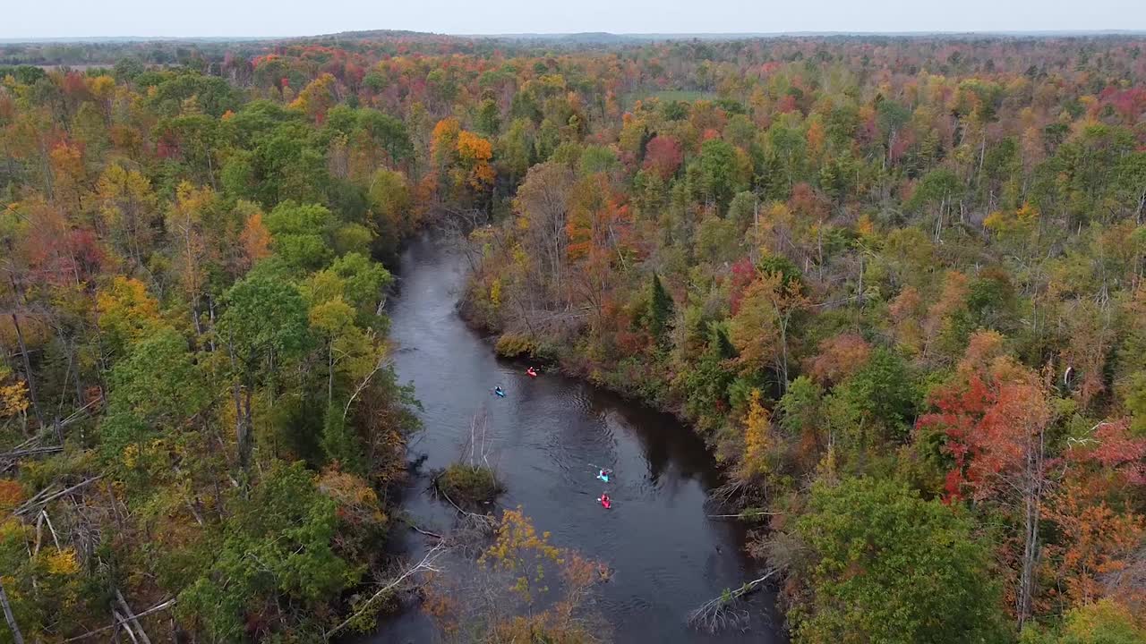 Kayakers paddle down river in autumn forrest - dolly pull