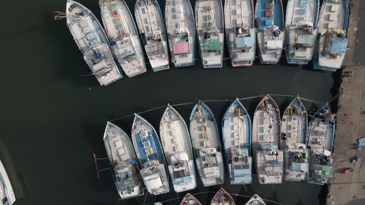 el sobrevuelo mira directamente hacia abajo en el patrón de barco de pesca en la marina apretada