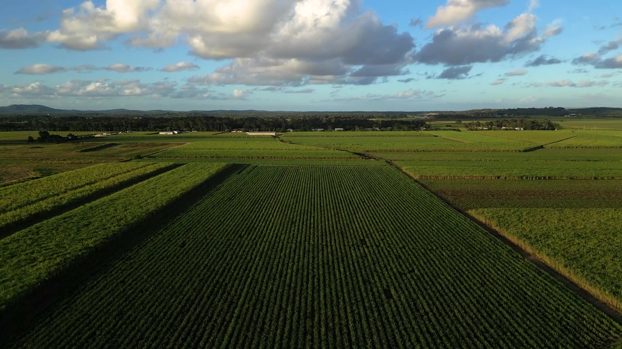 Forward moving aerial views over sugar cane farms in afternoon light in South East Queensland, Australia