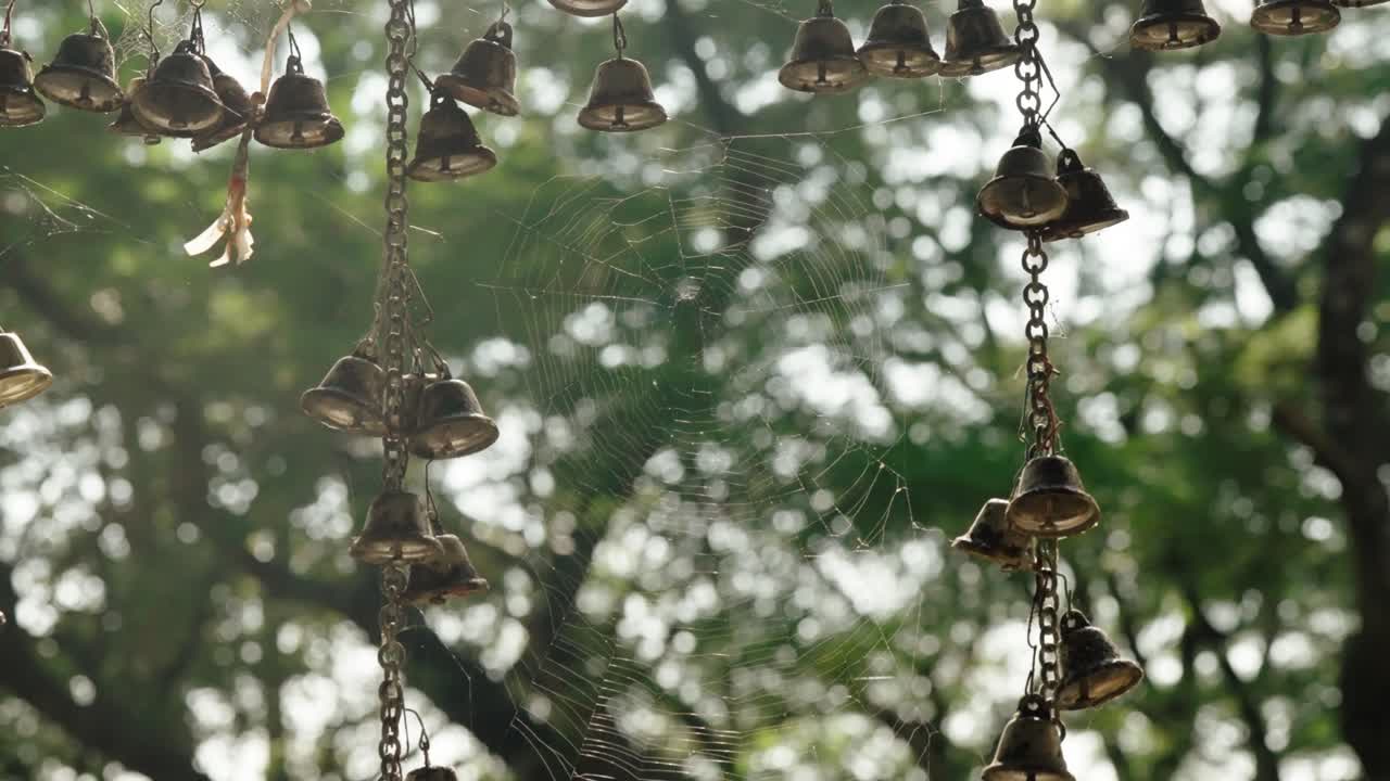 A delicate spiderweb hangs among rows of temple bells swaying in the forest