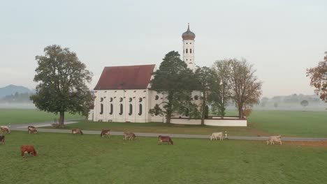 neuschwanstein church misty morning in autumn | 4k | dji mavic 2 pro
d-log - perfect for colour grading