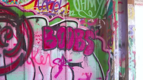 pink graffiti on brick wall
