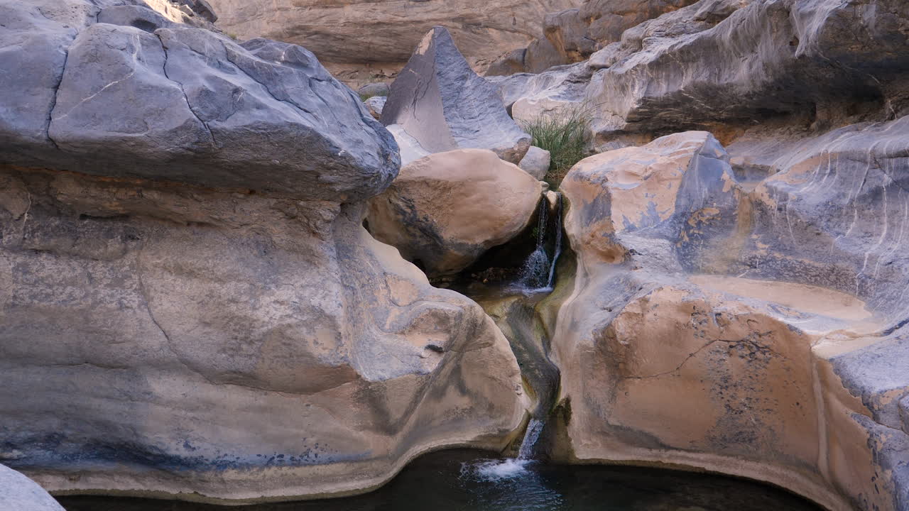 Paesaggio di un'oasi tranquilla nella campagna del Sultanato dell'Oman