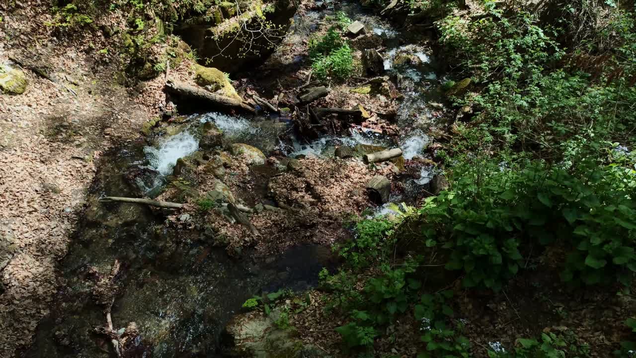 strømmen af en bjergflod og vækkelsen af naturen omkring den om foråret