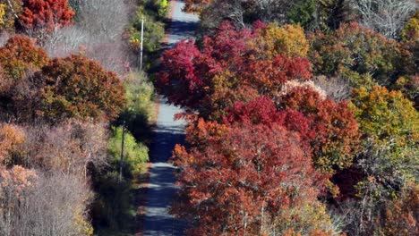 an aerial view over a quiet country road with colorful trees on both sides on a sunny day in autumn