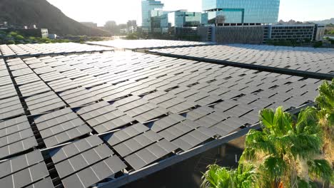 palm trees surround parking lot covered with solar panel array