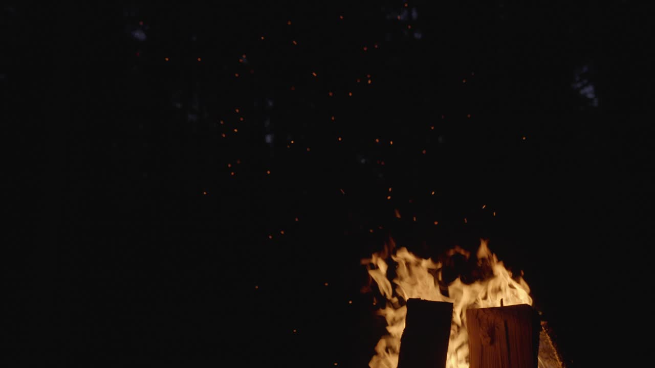 Bonfire in forest at night