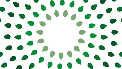 rotating circles of leaves on a white background. ecology concept animated backdrop