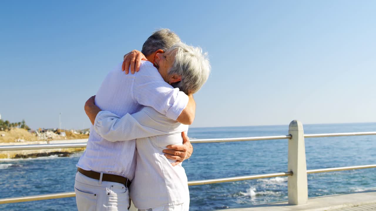 Coppia di anziani che si abbraccia vicino al mare 4k