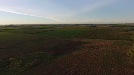 Vista-Aérea-De-Campos-Agrícolas-Planos-En-El-Campo-De-Argentina-A-La-Luz-Del-Sol-De-La-Tarde-Soleada,-Disparo-De-Drones