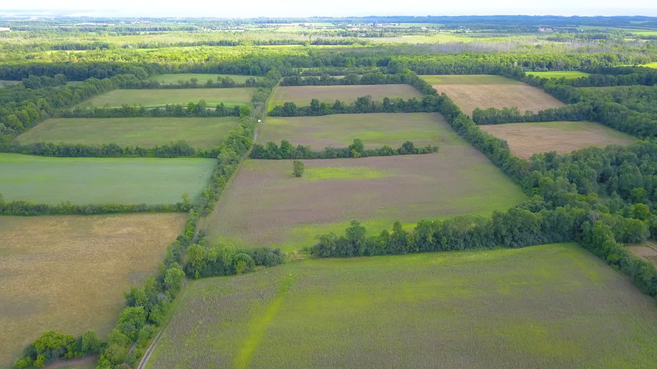 Scenic aerial over patchwork farm fields in late summer