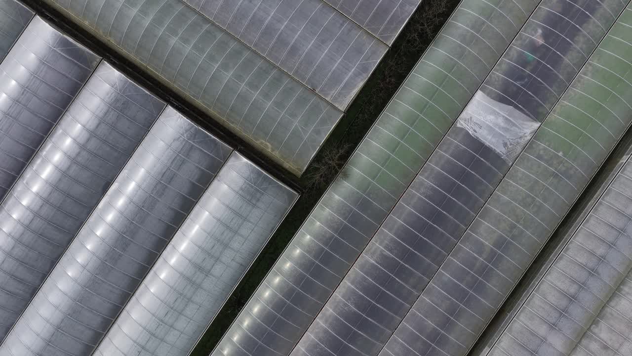 Ripresa aerea con drone di un'area agricola in Portogallo con molte serre e diverse colture orticole. Produzione alimentare. Sicurezza alimentare nell'Unione Europea.