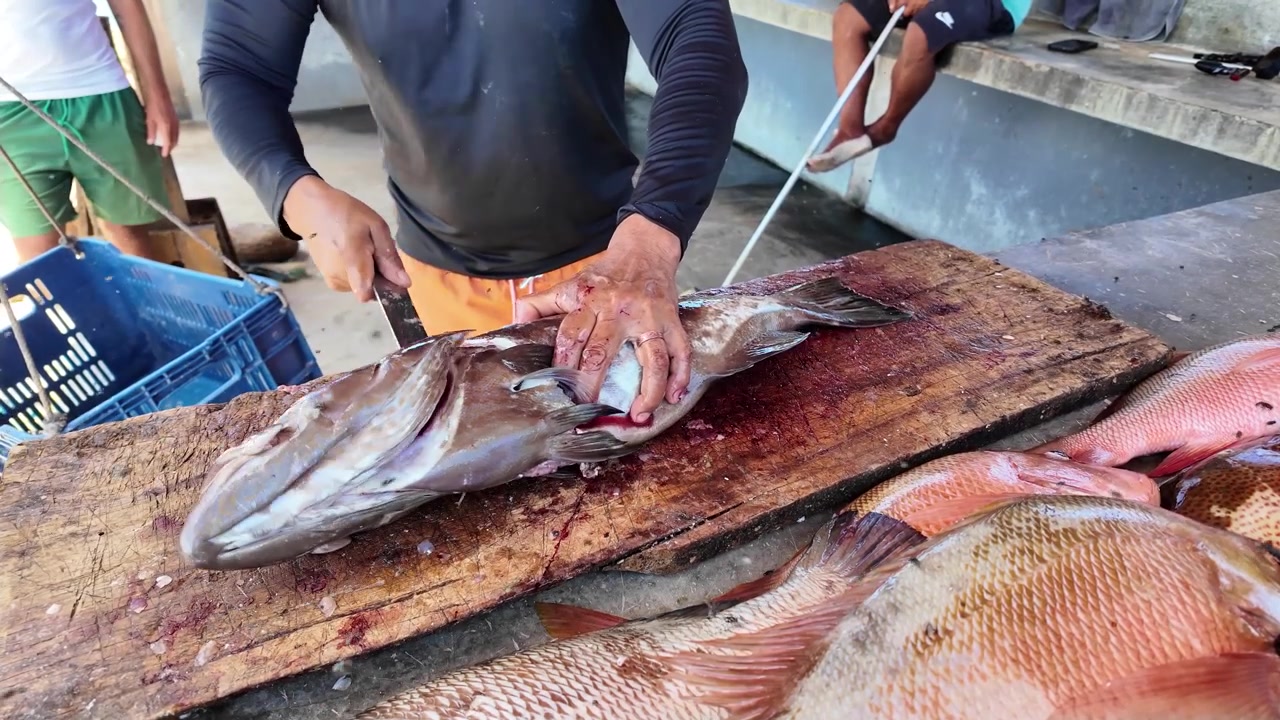 Slow motion fisherman hands cutting fresh grouper fish at local market