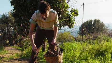 farmer empties the basket full of wood in the countryside
