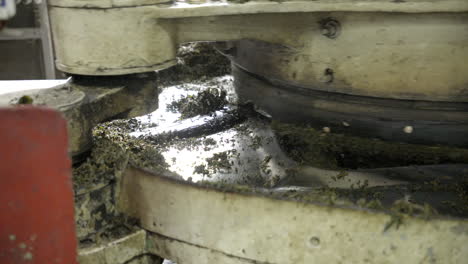 Close-up-view-of-tea-manufacturing-factory-machines-at-work-tea-leaf-sorting-and-crushing