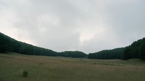 serene valley landscape with lush green fields and forests