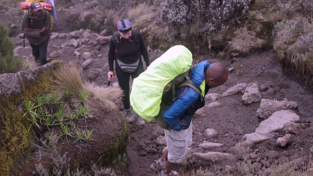 Hikers ascend to the Shira camp with guides