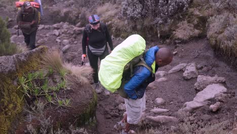 hikers ascend to the shira camp with guides