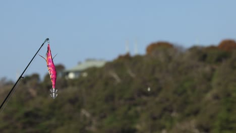 fishing lure swaying in the breeze