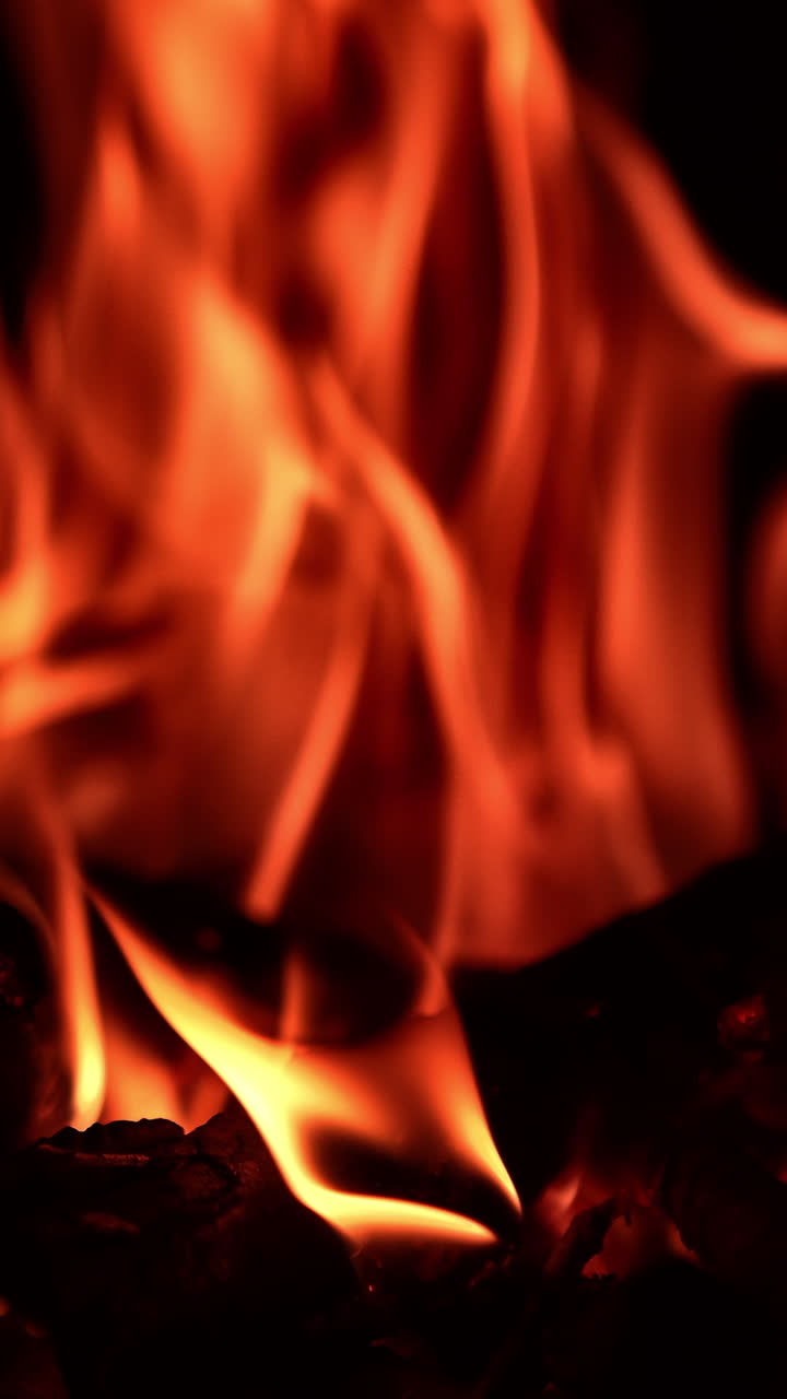 Red, orange and yellow flames covering the black wooden sticks. Campfire close up. Black backdrop. Vertical video
