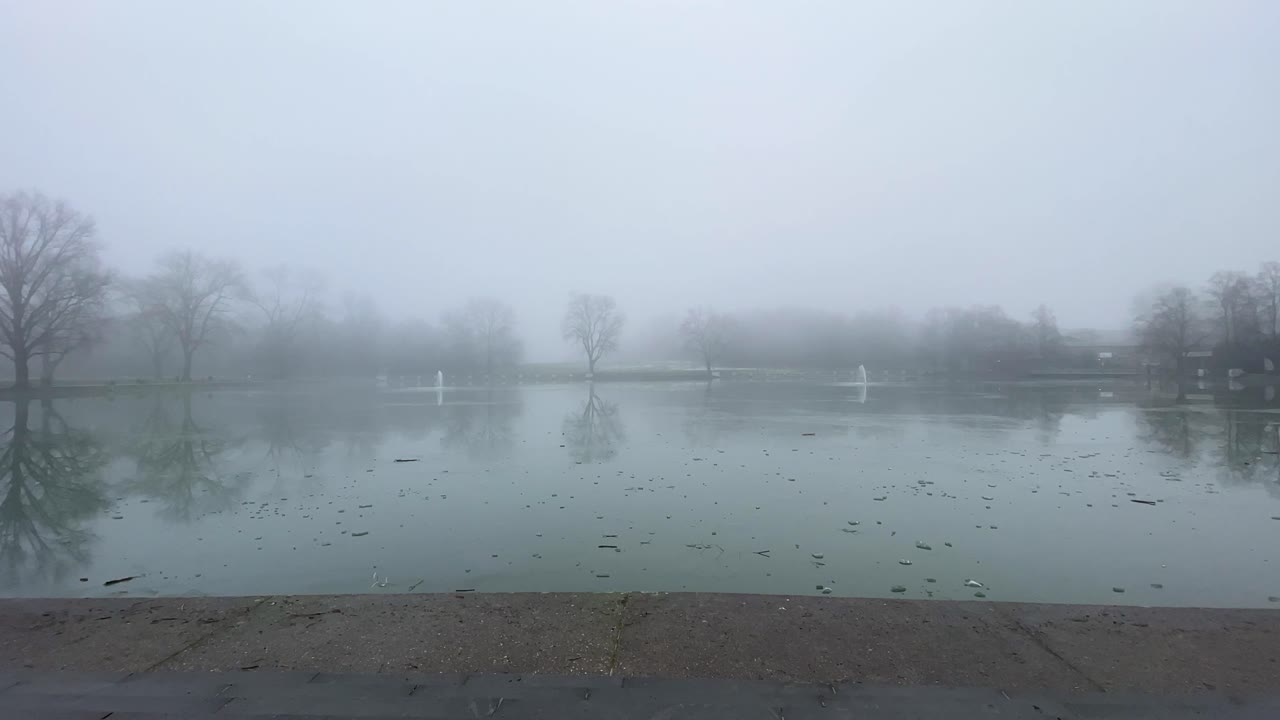 Foggy winter view of a lake with reflections of trees in the water in Cologne, Germany.
