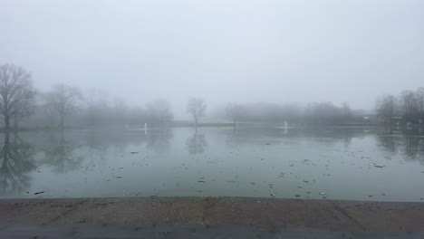 foggy winter view of a lake with reflections of trees in the water in cologne, germany.