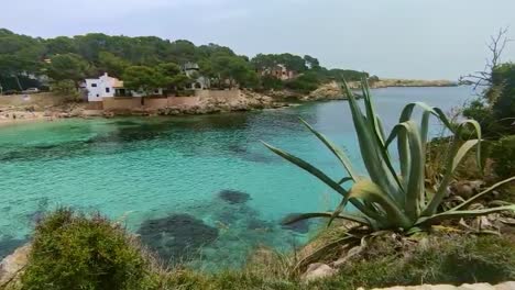 Bucht-Mit-Viel-Natur-Und-Palmen-Mit-Häusern-An-Der-Küste-Von-Cala-Gat-In-Cala-Ratjada