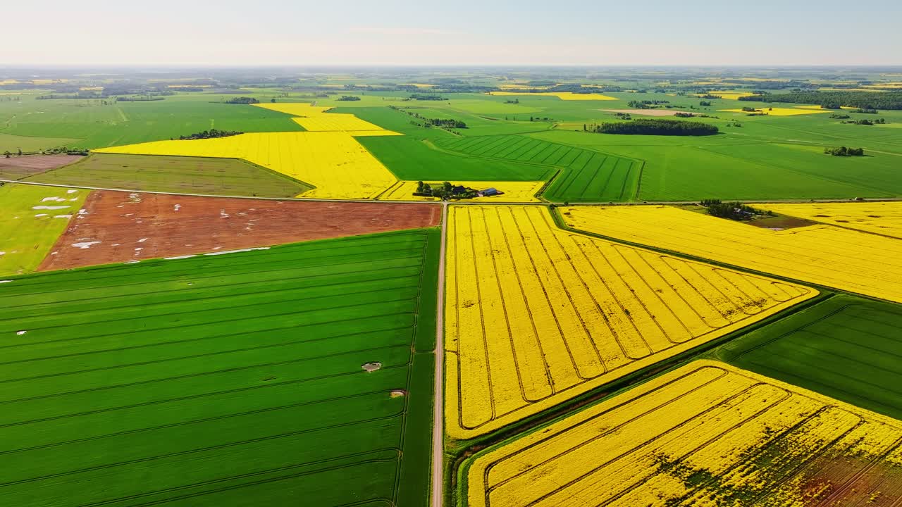 Latvian fields glow at sunset as drone follows gravel road between spring crops