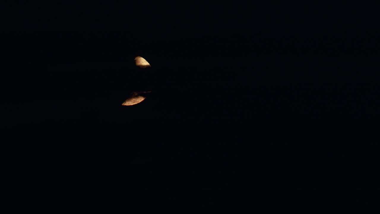 Almost full moon waxing gibbous rise over trees time lapse