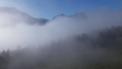 drone fly through mystical foggy mountain landscape with cows grazing in an alpine landscape of austria.