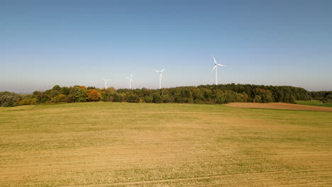 evening view of autumn forest and wind turbines or windmills farm field in the background