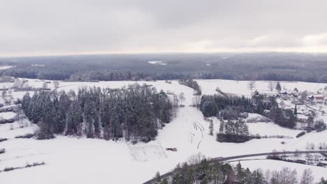 Pintoresco-Paisaje-Cubierto-De-Nieve.-Fondo-Del-área-Forestal.-Aéreo