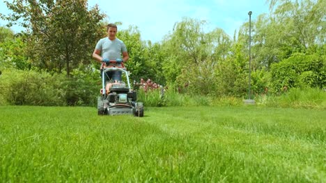 lawn mower cutting the grass. gardening activity. cutting grass with petrol driven lawn mower in sunny garden. gardener working with  mower machine in the garden. lawn mower cutting green grass