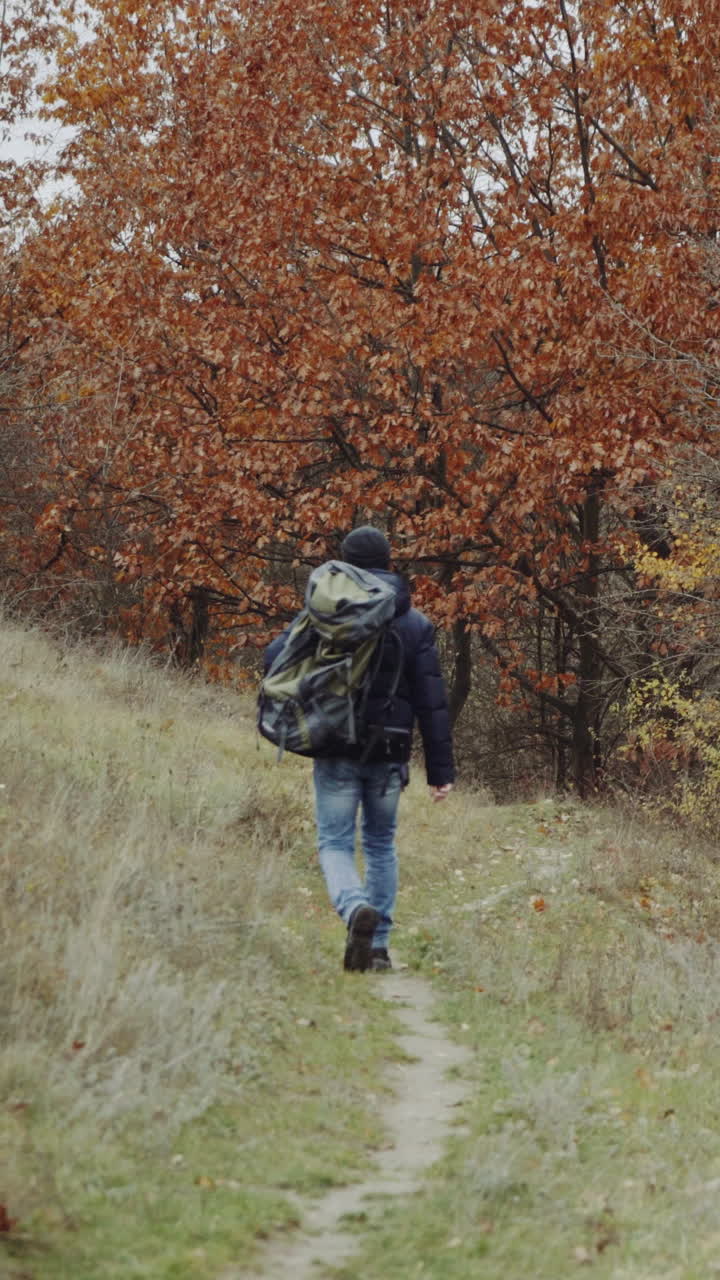 Male tourist in the forest. Young tourist with backpack walking by the forest in nature