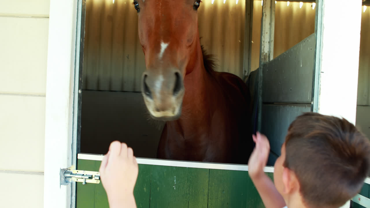 niños acariciando caballos en el establo 4k