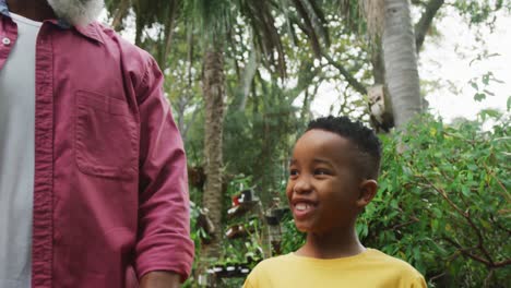 happy senior african american man with his grandson walking together in garden