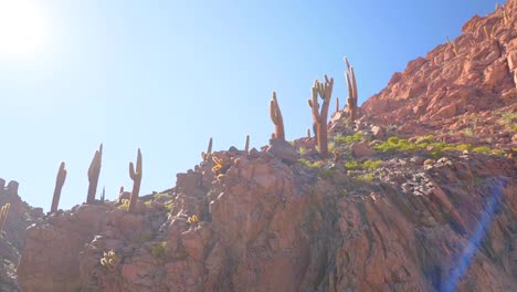 cactus canyon near san pedro de atacama in the atacama desert, northern chile, south america