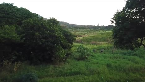 Drone-moving-forwards-over-a-bushy-grassy-patch-onto-an-open-sports-rugby-field-with-a-visible-white-score-board-at-harlequins-Bluff-Durban