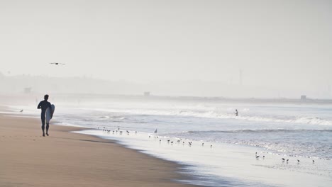 surfer running along sunny beach