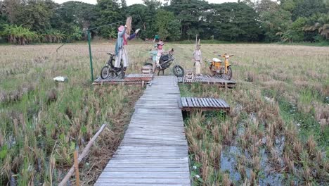 drone flying low over jetty with scarecrow and over a rice field