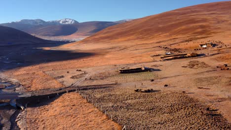 Luftaufnahme-Von-Hirten-Und-Yaksherden-Auf-Der-Landschaft-Von-Sichuan-In-China