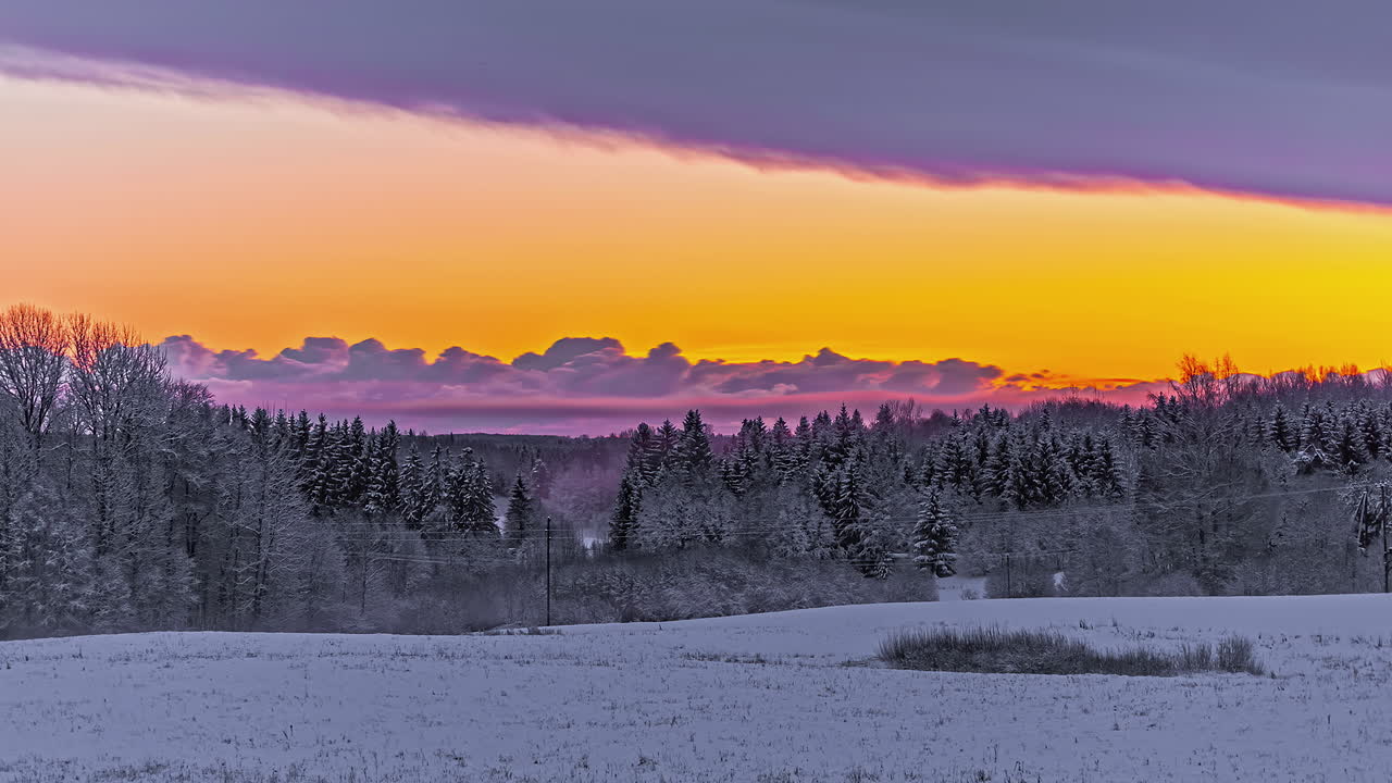 colorido cielo de puesta de sol vibrante sobre el bosque de pinos de invierno, vista de lapso de tiempo