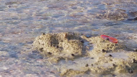 Tapones-De-Botellas-De-Plástico-Y-Escombros-Flotando-En-El-Agua-Tomados-Por-La-Bandeja-Actual-En-Cámara-Lenta