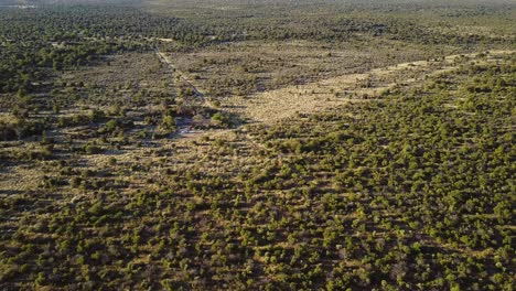 tilt up aerial shot, revealing hills in the middle of the savannah in africa